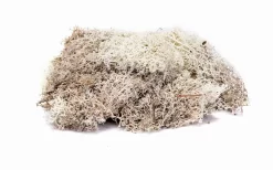 Hornby OO Lichen - Stone Grey